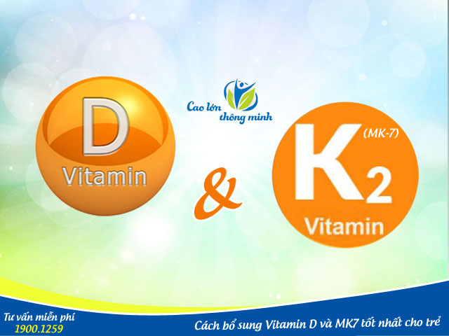 Bổ sung Vitamin D và Mk7 giúp hấp thụ tối đa canxi vào cơ thể