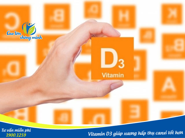 Canxi được hấp thụ tối đa vào xương nhờ Vitamin D3