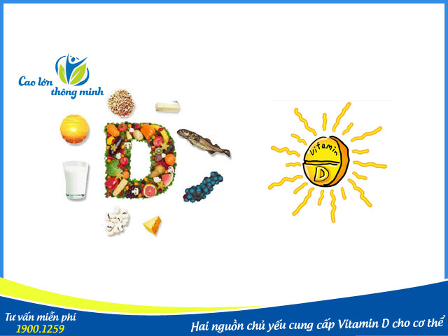 Nguồn cung cấp Vitamin D cho cơ thể