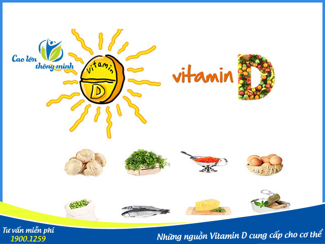 Vitamin D có trong ánh nắng và nhiều loại thức phẩm