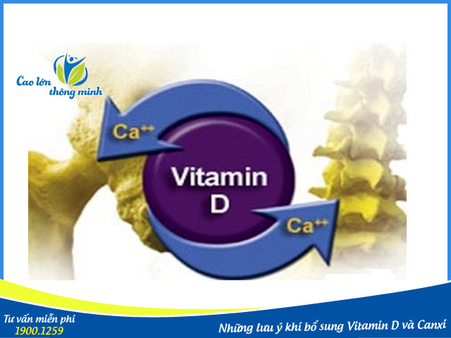 Bổ sung Canxi và Vitamin D đúng cách giúp trẻ tăng trưởng tự nhiên