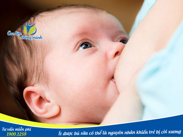 Trẻ thiếu nguồn dinh dưỡng từ sữa mẹ rất dễ mắc bệnh còi xương