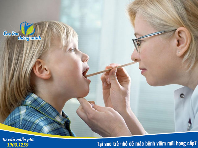viêm mũi họng cấp ở trẻ là gì